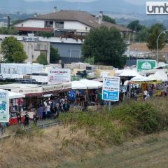 Terni, fiera San Matteo il 24 settembre: affidamenti in arrivo