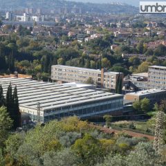 Dup Terni, università: «Non concentrare su Pentima». Si punta anche sulle private