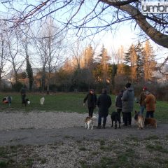 Terni, sos per l’area cani di viale Trento: «Tanti problemi, Comune si attivi»