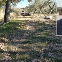 Bastia piange Enrico, colpito dall’albero che stava tagliando