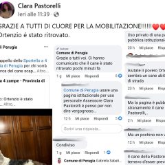 L’assessora Pastorelli perde il cane: avviso ‘social’ del Comune e raffica di polemiche
