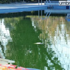 Piscine Stadio Terni off-limits da 1 mese: «Fa male vedere struttura ridotta così»