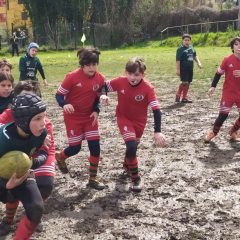 Ternana Rugby ko a Macerata. Dai giovani buone performance