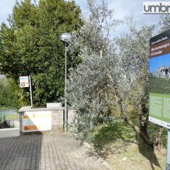 Musei statali, il 5 giugno si entra gratis: dove sarà possibile in Umbria