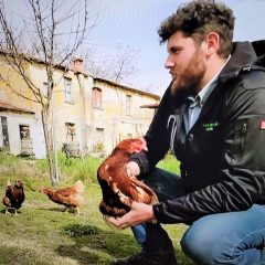 Terni: il gigante buono Nicolò a ‘Il contadino cerca moglie’