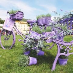 Perugia Flower Show 2022: al Barton Park piante mai viste