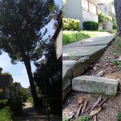 Villaggio Matteotti: «Alberi e canale di scarico, diversi esposti ma nulla si muove»