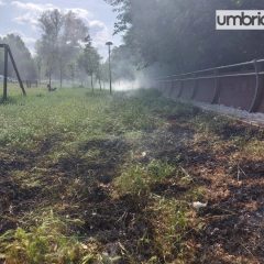 Terni, vegetazione in fiamme domenica in Lungonera Nino Bixio