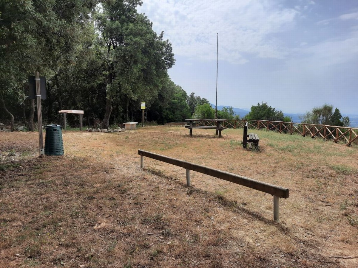 Rottweiler azzanna cagnolina di una bimba al parco. «La padrona capisca la gravità»