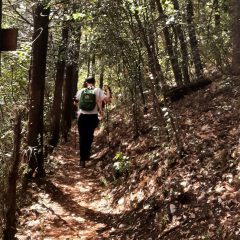 Terni, licei Angeloni: studenti tra trekking e coscienza ecologica