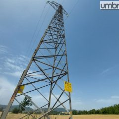 Variante elettrodotto Terni: «Sospendere abbattimento alberi sulla collina di Cesi»