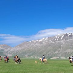 Meteo, 31 ottobre da record: a Castelluccio superati i 21°