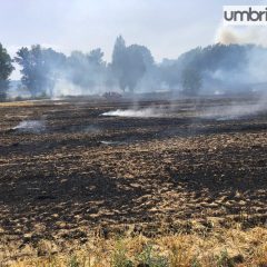 Terni: vasto incendio di terreni agricoli in zona Sabbione