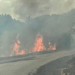 Video – Montecchio: l’incendio boschivo minaccia le abitazioni