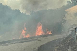 Video – Montecchio: l’incendio boschivo minaccia le abitazioni