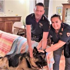 Finisce nella trappola illegale per animali selvatici: Nek salvato dalla polizia di Orvieto