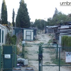 Terni, l’appello per il canile di Monte Argento: «Servono coperte, aiutateci»