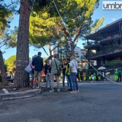 Terni, via Borsi cambia volto: giù i pini. L’inizio dell’abbattimento e la protesta – Video