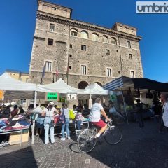 Mercatino Terni, è già bagarre. «Passeggiata? Non può e non deve essere la scelta»