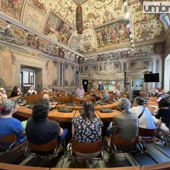 Circolo Vas e comitato Sos verde pubblico: «Terni non è il letamaio dell’Umbria»