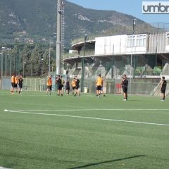 Stadio-clinica Terni, assoggettabilità Via parcheggi: Pec anche dalla Provincia