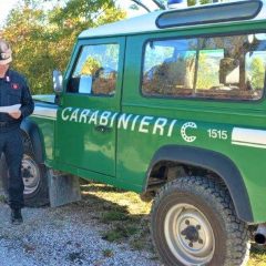 Incendi in Umbria, sei persone denunciate dai forestali. Caccia al piromane di Corbara