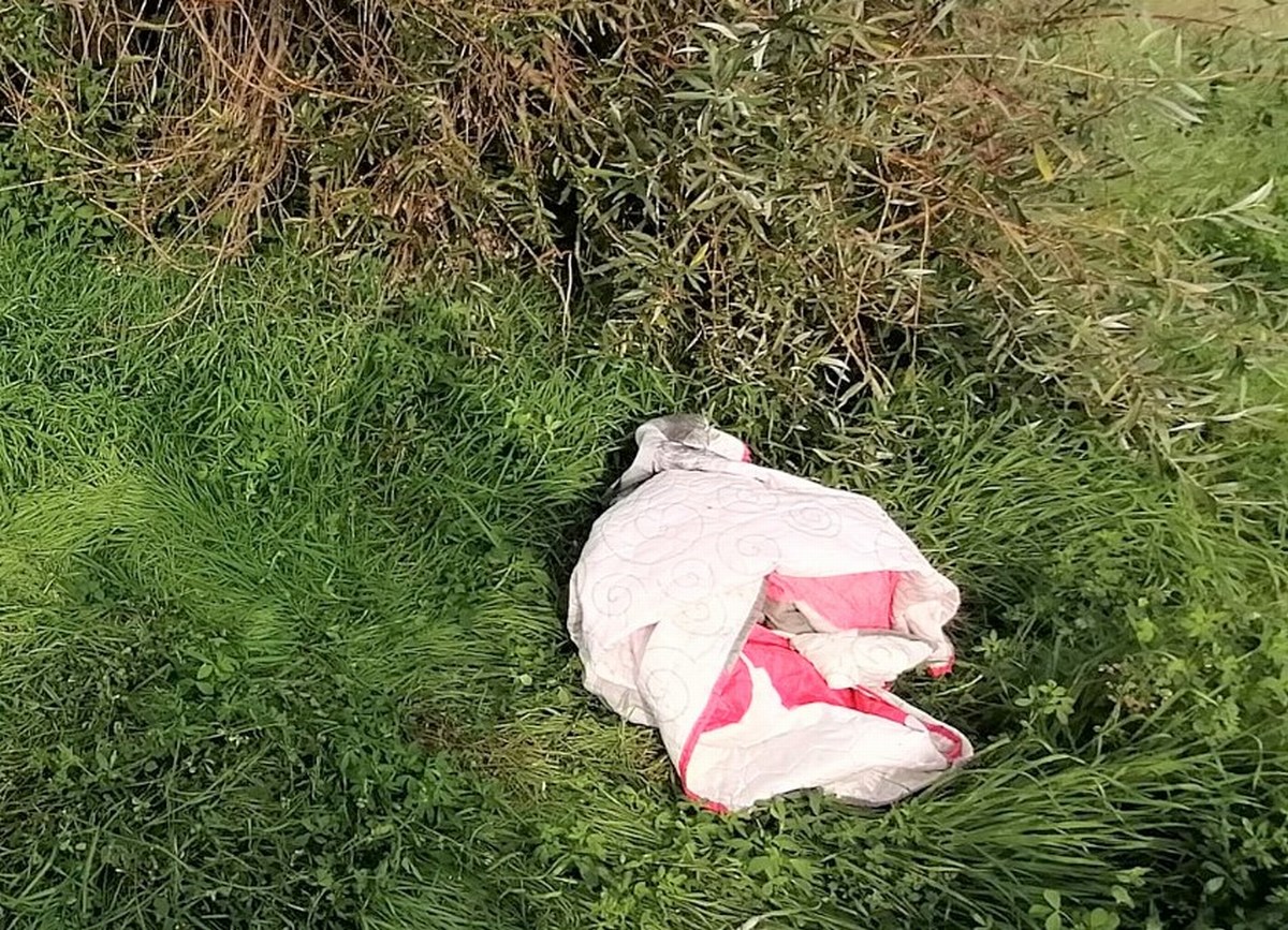 I furti della banda del cane smarrito. Cresce la paura a Balanzano