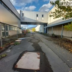 VIDEO – Terni, ‘tour’ nell’area ex Italtel / Alnuatel a Maratta
