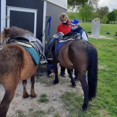Animali e autismo: Bibi, un pony per la terapia assistita