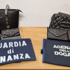 Da Tirana a Perugia con materiale falso: sanzione da 300 euro per una coppia