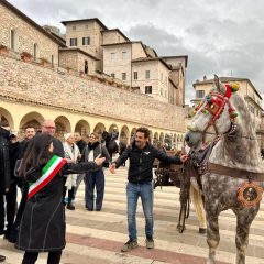 Dalla Sicilia ad Assisi con Gandalf: missione pellegrinaggio compiuta per Nino