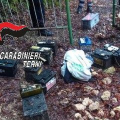Blitz dei carabinieri nei boschi del Narnese dove la droga è di casa