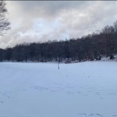 Polino: arriva la prima neve a Collebertone