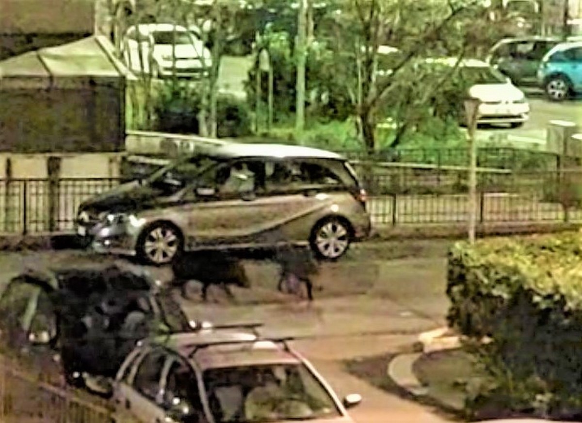 Terni: cinghiali a due passi dal centro. «Una cosa mai vista» – Video