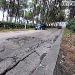 Terni, viale Centurini e l’sos buche: «Una groviera, situazione molto pericolosa»