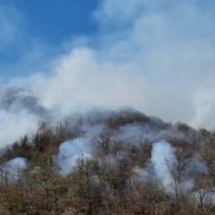 Incendio boschivo a Santa Restituta: canadair in azione