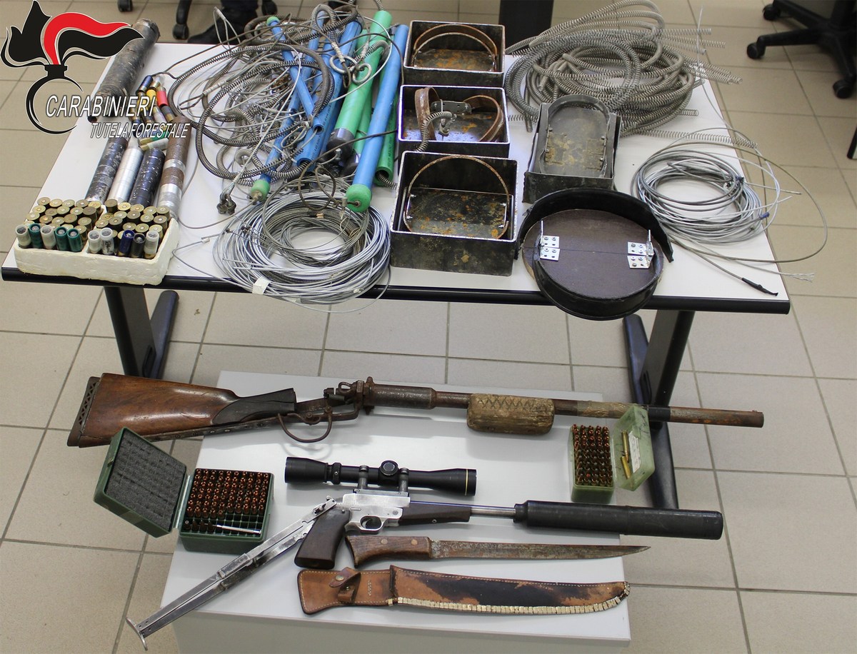 Arrestato bracconiere 60enne: in casa anche una tagliola di 2 metri