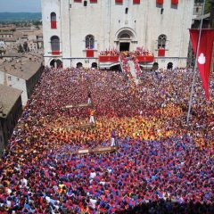 Ceri di Gubbio: sette svenimenti, due traumi e una sincope