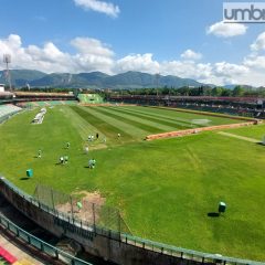 Ternana-Bari, daspo per tifoso pugliese. Striscione non autorizzato: 27enne di Montecastrilli punito