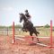 Equitazione, in partenza il concorso regionale del salto ad ostacoli