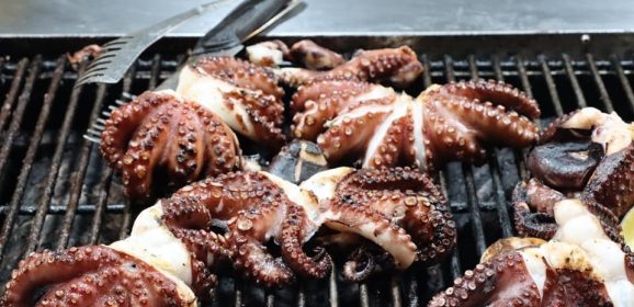 Terni, in largo Frankl c’è l’International street food festival