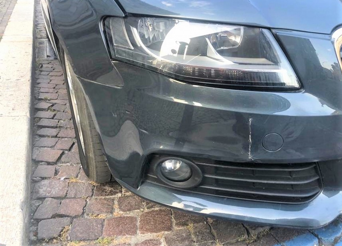 Terni: il cinghiale sbuca all’alba mentre vanno al lavoro. Danni e rabbia