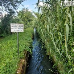 Consorzio di Bonifica Tevere Nera: «Primo bilancio della stagione irrigua 2023 positivo»