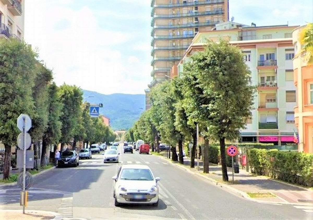 Terni: cane aggredito in via Curio Dentato. Momenti di paura