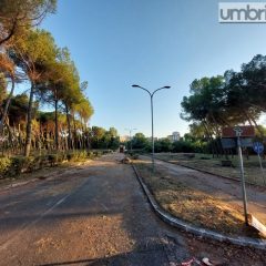 Terni, giù la pineta Centurini: il sit-in di protesta. ‘Nuovo’ viale quasi pronto – Le foto