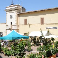 A Calvi dell’Umbria la 23esima mostra florovivaistica