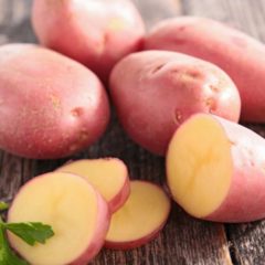Foligno, Colfiorito: c’è la 44° sagra della patata rossa