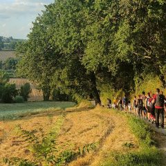 Trekking tra vigneti, uliveti, degustazioni, vino e prodotti tipici: c’è il ‘Sagrantino Trek’