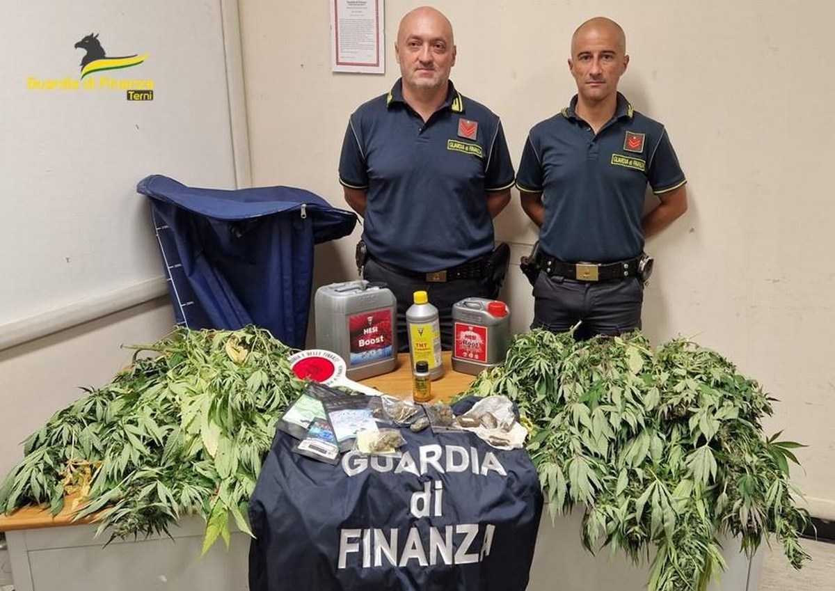 Coltiva marijuana ad Acquasparta: 30enne ternano denunciato