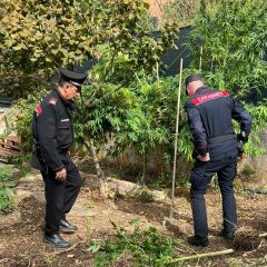 Laboratorio per la marijuana a Santa Sabina: arrestato 33enne perugino